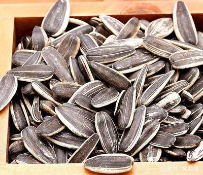 在家也能制做出美味可口香瓜子,沒有耐心