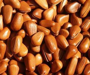 同盛昌五香瓜子 傳統風味與現代健康的完美融合